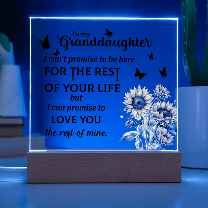 meaningful acrylic plaque gift from grandparents to granddaughter